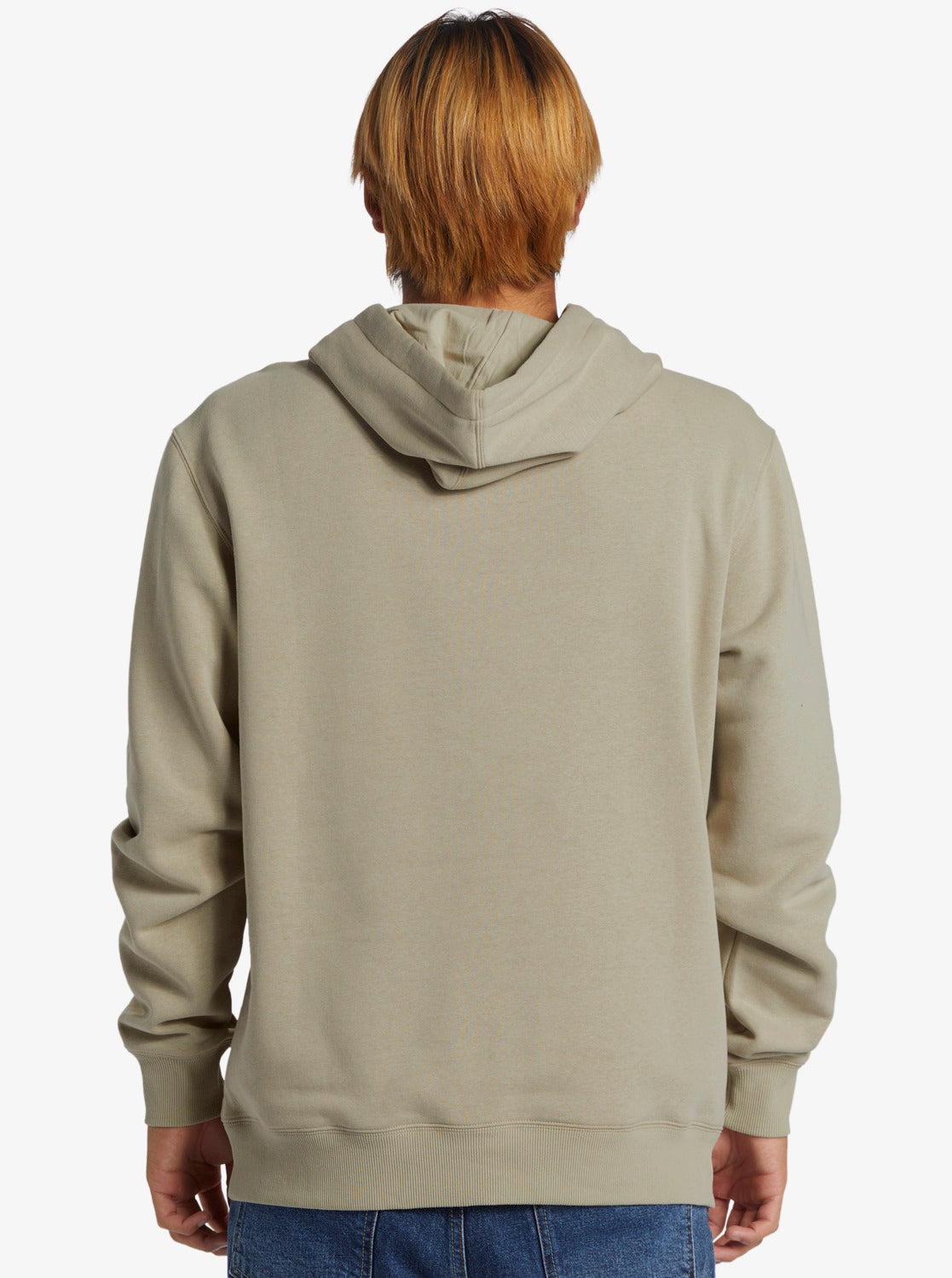 Quiksilver - Hoodie - Big Logo - Plaza Taupe