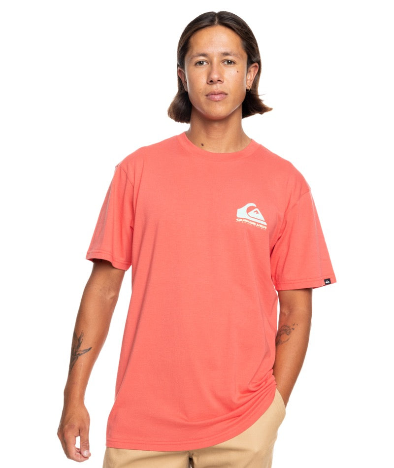 Quiksilver - T-Shirt - Eye On Horizon - Spiced Coral